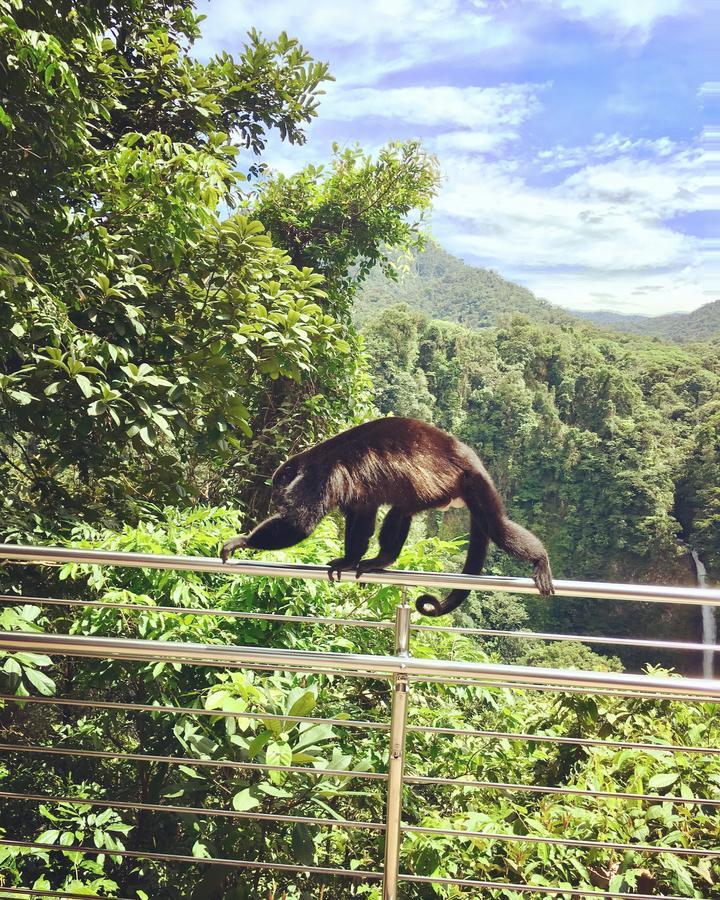 Villa Tucan La Fortuna Zewnętrze zdjęcie