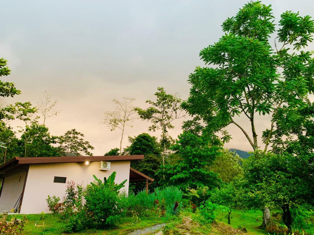 Villa Tucan La Fortuna Zewnętrze zdjęcie